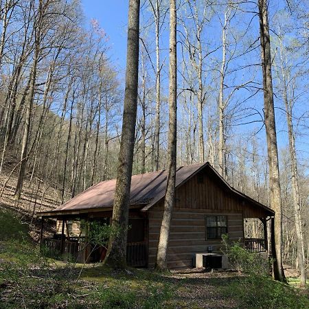 Little Mountain Hideaway Cabin Pigeon Forge Eksteriør bilde
